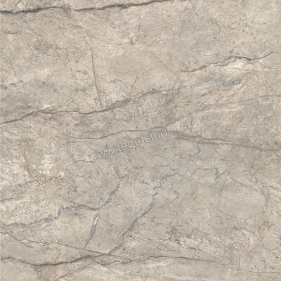  Ceramiche Caesar Anima Futura Amazing Silver 120x120 cm Vloertegel / Wandtegel Glanzend Vlak Lucidato AGCE CAE | 355945