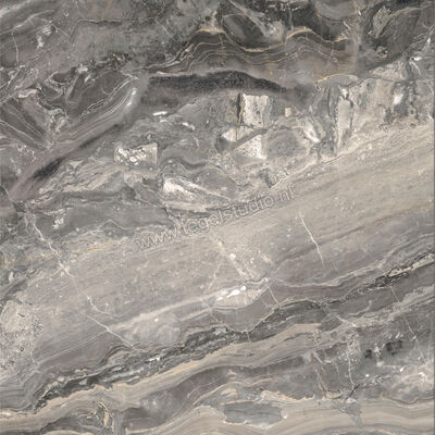  Ceramiche Caesar Anima Futura Keen Grey 120x120 cm Vloertegel / Wandtegel Glanzend Vlak Lucidato AGCG CAE | 355978