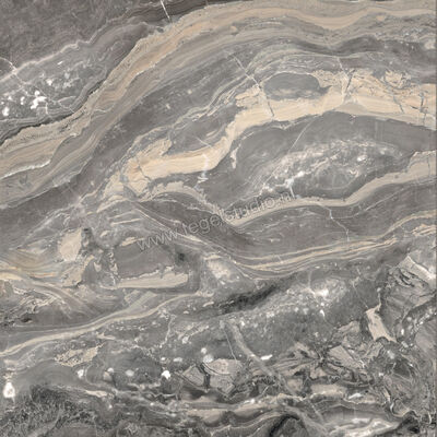  Ceramiche Caesar Anima Futura Keen Grey 120x120 cm Vloertegel / Wandtegel Glanzend Vlak Lucidato AGCG CAE | 355993