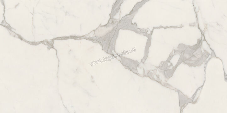  Ceramiche Caesar Anima Futura Majestic White 60x120 cm Vloertegel / Wandtegel 3D Haptik Mat Vlak Touch Plus AIAU CAE | 356164