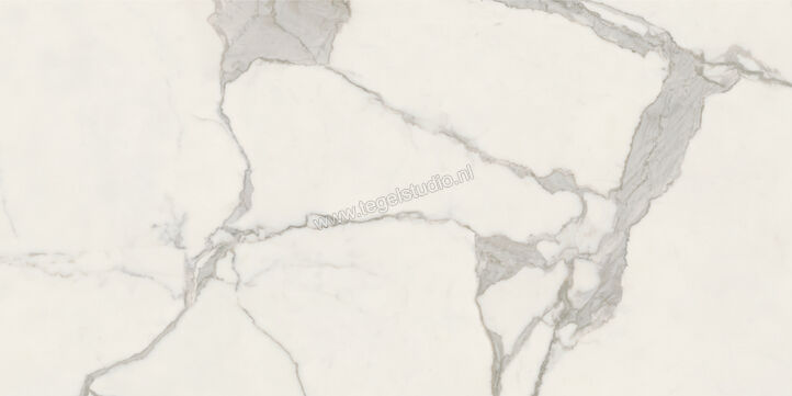  Ceramiche Caesar Anima Futura Majestic White 60x120 cm Vloertegel / Wandtegel 3D Haptik Mat Vlak Touch Plus AIAU CAE | 356170
