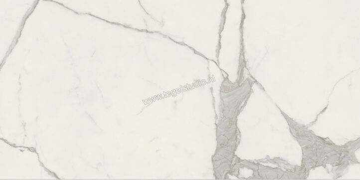  Ceramiche Caesar Anima Futura Majestic White 60x120 cm Vloertegel / Wandtegel 3D Haptik Mat Vlak Touch Plus AIAU CAE | 356173