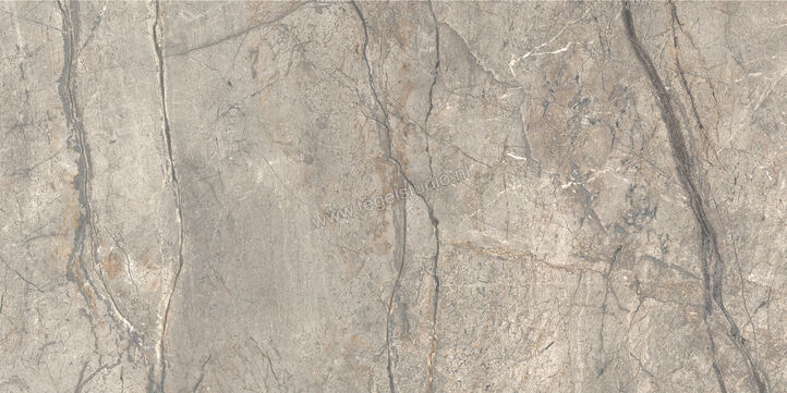  Ceramiche Caesar Anima Futura Amazing Silver 60x120 cm Vloertegel / Wandtegel 3D Haptik Mat Vlak Touch Plus AIAV CAE | 356203