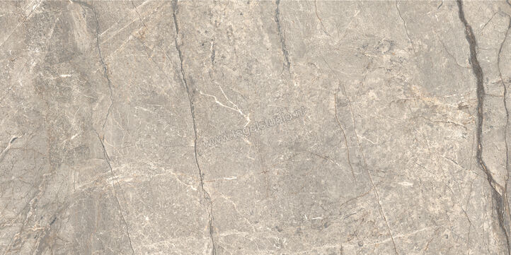  Ceramiche Caesar Anima Futura Amazing Silver 60x120 cm Vloertegel / Wandtegel 3D Haptik Mat Vlak Touch Plus AIAV CAE | 356209