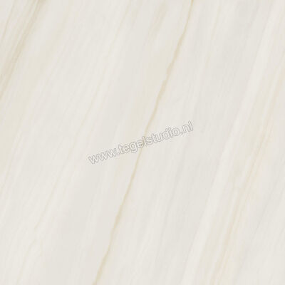 Ceramiche Caesar Anima Wonder Snow 120x120 cm Vloertegel / Wandtegel Glanzend Vlak Lucidato AHBF CAE | 356353