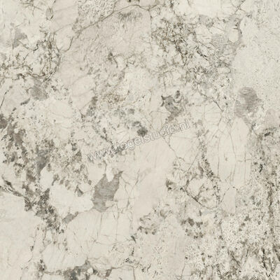  Ceramiche Caesar Anima Wonder Glacier 120x120 cm Vloertegel / Wandtegel Glanzend Vlak Lucidato AHBG CAE | 356374