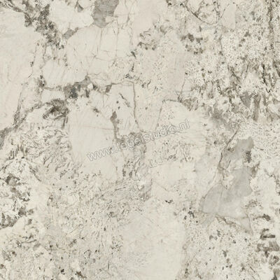  Ceramiche Caesar Anima Wonder Glacier 120x120 cm Vloertegel / Wandtegel Glanzend Vlak Lucidato AHBG CAE | 356386
