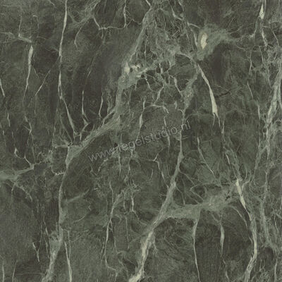  Ceramiche Caesar Anima Wonder Forest 120x120 cm Vloertegel / Wandtegel Glanzend Vlak Lucidato AHBH CAE | 356392