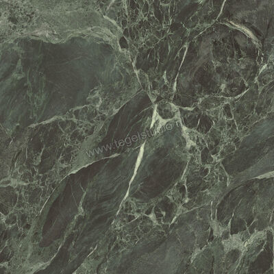  Ceramiche Caesar Anima Wonder Forest 120x120 cm Vloertegel / Wandtegel Glanzend Vlak Lucidato AHBH CAE | 356395