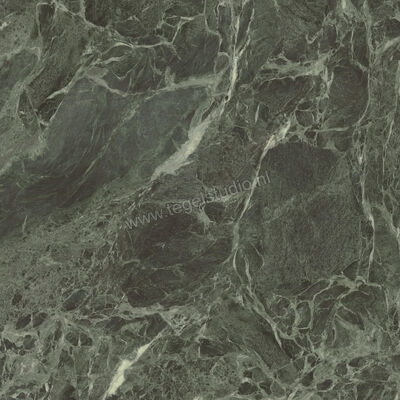  Ceramiche Caesar Anima Wonder Forest 120x120 cm Vloertegel / Wandtegel Glanzend Vlak Lucidato AHBH CAE | 356398
