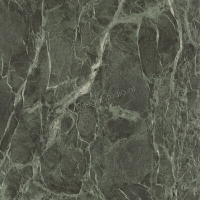  Ceramiche Caesar Anima Wonder Forest 120x120 cm Vloertegel / Wandtegel Glanzend Vlak Lucidato AHBH CAE | 356404