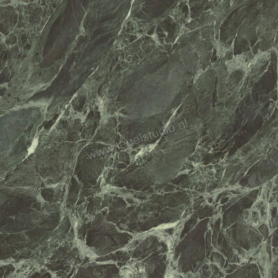  Ceramiche Caesar Anima Wonder Forest 120x120 cm Vloertegel / Wandtegel Glanzend Vlak Lucidato AHBH CAE | 356407