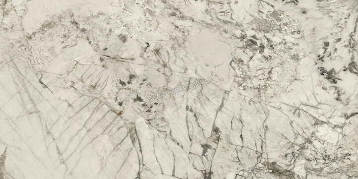  Ceramiche Caesar Anima Wonder Glacier 60x120 cm Vloertegel / Wandtegel Glanzend Vlak Lucidato AHBK CAE | 356479