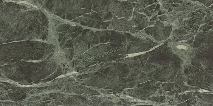  Ceramiche Caesar Anima Wonder Forest 60x120 cm Vloertegel / Wandtegel Glanzend Vlak Lucidato AHBL CAE | 356500