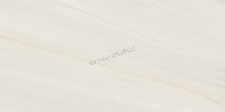  Ceramiche Caesar Anima Wonder Snow 60x120 cm Vloertegel / Wandtegel Mat Vlak Touch Plus AIAO CAE | 356644