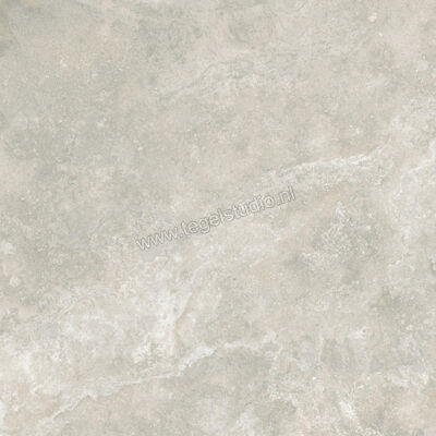 Ceramiche Caesar Iconica Silver Contro 120x120 cm Vloertegel / Wandtegel Mat Vlak Touch Plus AG69 CAE | 357700