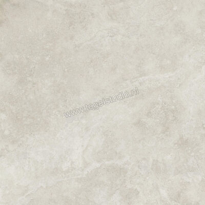  Ceramiche Caesar Iconica Navona Contro 120x120 cm Vloertegel / Wandtegel Mat Vlak Touch Plus AG6Y CAE | 357832