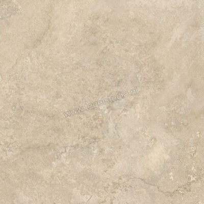  Ceramiche Caesar Iconica Classico Contro 120x120 cm Vloertegel / Wandtegel Mat Vlak Touch Plus AG6Z CAE | 357865