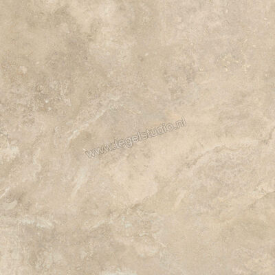  Ceramiche Caesar Iconica Classico Contro 120x120 cm Vloertegel / Wandtegel Mat Vlak Touch Plus AG6Z CAE | 357868
