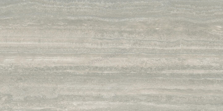  Ceramiche Caesar Iconica Silver Verso 60x120 cm Vloertegel / Wandtegel Mat Vlak Touch Plus AGRR CAE | 358177