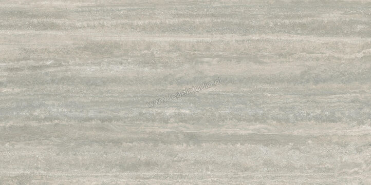  Ceramiche Caesar Iconica Silver Verso 60x120 cm Vloertegel / Wandtegel Mat Vlak Touch Plus AGRR CAE | 358183