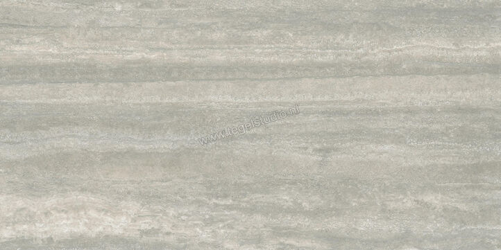  Ceramiche Caesar Iconica Silver Verso 60x120 cm Vloertegel / Wandtegel Mat Vlak Touch Plus AGRR CAE | 358198