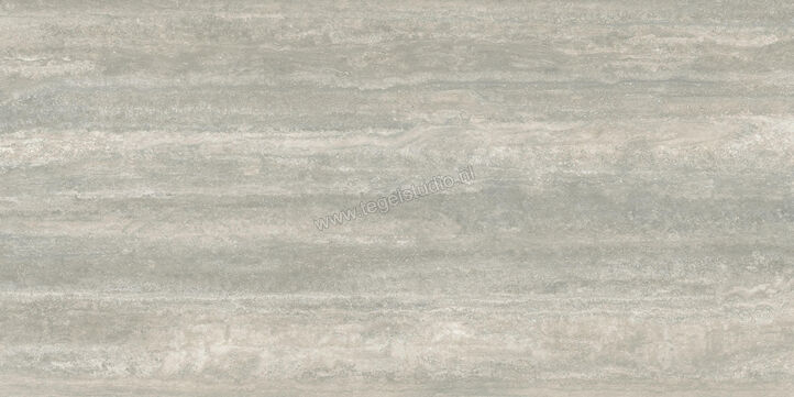  Ceramiche Caesar Iconica Silver Verso 60x120 cm Vloertegel / Wandtegel Mat Vlak Touch Plus AGRR CAE | 358213