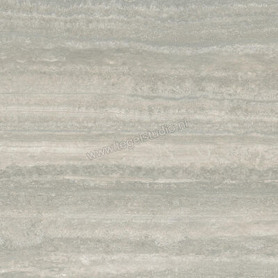  Ceramiche Caesar Iconica Silver Verso 60x60 cm Vloertegel / Wandtegel Mat Vlak Touch Plus AGRZ CAE | 358405