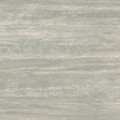  Ceramiche Caesar Iconica Silver Verso 60x60 cm Vloertegel / Wandtegel Mat Vlak Touch Plus AGRZ CAE | 358438