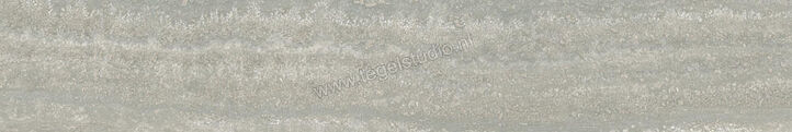 Ceramiche Caesar Iconica Silver Verso 10x60 cm Vloertegel / Wandtegel Mat Vlak Touch Plus AGX9 CAE | 358540