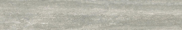  Ceramiche Caesar Iconica Silver Verso 10x60 cm Vloertegel / Wandtegel Mat Vlak Touch Plus AGX9 CAE | 358570