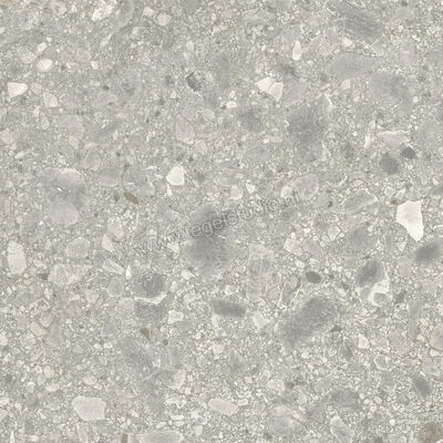  Ceramiche Caesar Portraits Outdoor Brera 60x60x2 cm Terrastegel Aextra20 Mat Gestructureerd Naturale AG5Q CAE | 359689