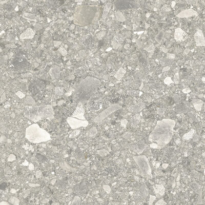  Ceramiche Caesar Portraits Outdoor Brera 60x60x2 cm Terrastegel Aextra20 Mat Gestructureerd Naturale AG5Q CAE | 359701