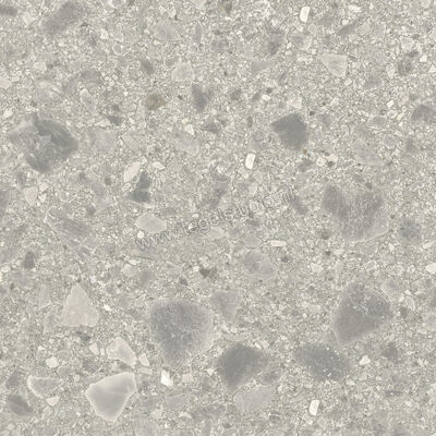  Ceramiche Caesar Portraits Outdoor Brera 80x80x2 cm Terrastegel Aextra20 Mat Gestructureerd Naturale AG5W CAE | 359815