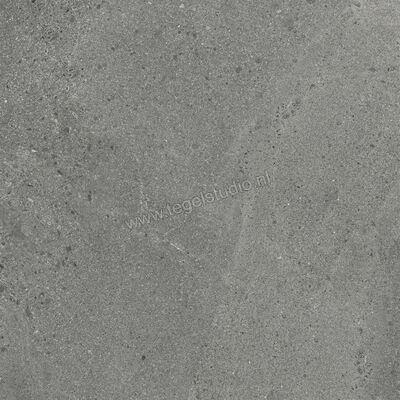  Ceramiche Caesar Portraits Wells 60x60 cm Vloertegel / Wandtegel Mat Gestructureerd Touch Plus AG4L CAE | 360355
