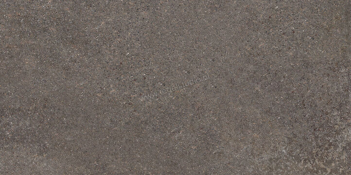  Ceramiche Caesar Shapes of Italy Lavis 60x120 cm Vloertegel / Wandtegel Mat Vlak Naturale AFM6 CAE | 360829