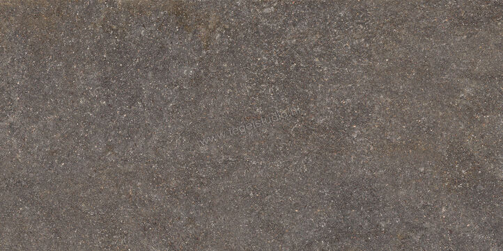  Ceramiche Caesar Shapes of Italy Lavis 60x120 cm Vloertegel / Wandtegel Mat Vlak Naturale AFM6 CAE | 360835