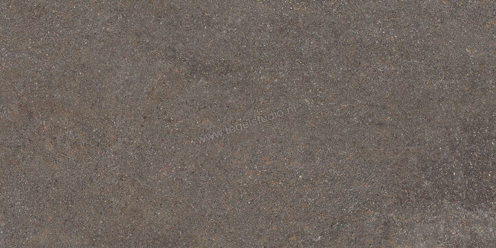  Ceramiche Caesar Shapes of Italy Lavis 60x120 cm Vloertegel / Wandtegel Mat Vlak Naturale AFM6 CAE | 360847
