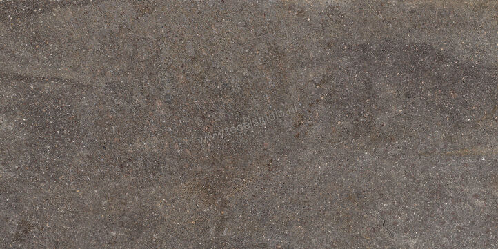  Ceramiche Caesar Shapes of Italy Lavis 60x120 cm Vloertegel / Wandtegel Mat Vlak Naturale AFM6 CAE | 360853