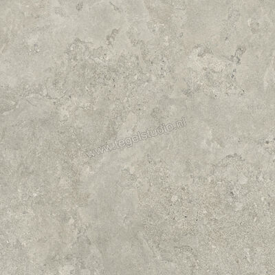  Ceramiche Caesar Portraits Newport 120x120 cm Vloertegel / Wandtegel Mat Gestructureerd Touch Plus AG5G CAE | 360919