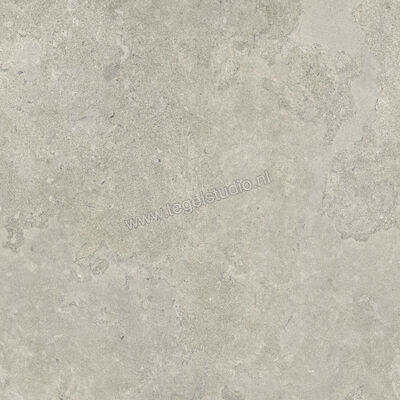  Ceramiche Caesar Portraits Newport 120x120 cm Vloertegel / Wandtegel Mat Gestructureerd Touch Plus AG5G CAE | 360934