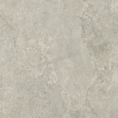  Ceramiche Caesar Portraits Newport 120x120 cm Vloertegel / Wandtegel Mat Gestructureerd Touch Plus AG5G CAE | 360949