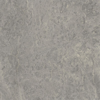  Ceramiche Caesar Portraits Rouen 120x120 cm Vloertegel / Wandtegel Mat Gestructureerd Touch Plus AG5I CAE | 361039