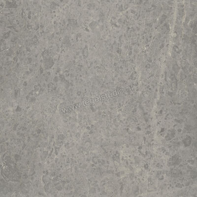  Ceramiche Caesar Portraits Rouen 120x120 cm Vloertegel / Wandtegel Mat Gestructureerd Touch Plus AG5I CAE | 361051