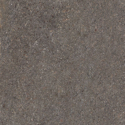  Ceramiche Caesar Shapes of Italy Lavis 60x60 cm Vloertegel / Wandtegel Mat Vlak Naturale AFMU CAE | 361075