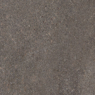  Ceramiche Caesar Shapes of Italy Lavis 60x60 cm Vloertegel / Wandtegel Mat Vlak Naturale AFMU CAE | 361081