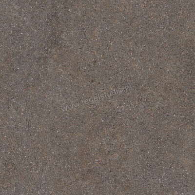  Ceramiche Caesar Shapes of Italy Lavis 60x60 cm Vloertegel / Wandtegel Mat Vlak Naturale AFMU CAE | 361084