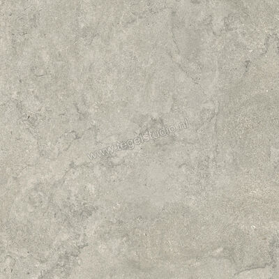  Ceramiche Caesar Portraits Newport 80x80 cm Vloertegel / Wandtegel Mat Gestructureerd Touch Plus AG5L CAE | 361177