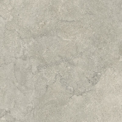  Ceramiche Caesar Portraits Newport 80x80 cm Vloertegel / Wandtegel Mat Gestructureerd Touch Plus AG5L CAE | 361225