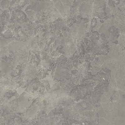  Ceramiche Caesar Portraits Outdoor Rouen 60x60x2 cm Terrastegel Aextra20 Mat Gestructureerd Naturale AG5R CAE | 361366